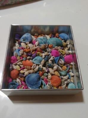 Colorful shells