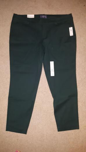 Nwt forest green pixie pants sz 16