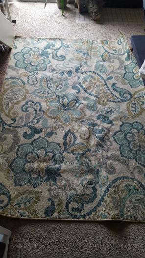 5x7 Rug