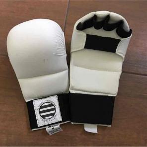 Karate Gloves