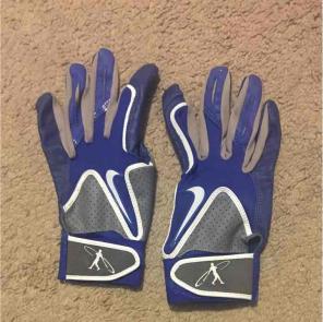 Nike Batting Gloves