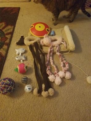 Kitty bundle with kitty kong
