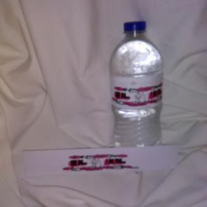 Wedding Water Bottle Labels