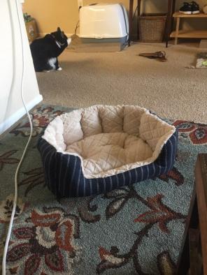 Cat Or Dog Bed