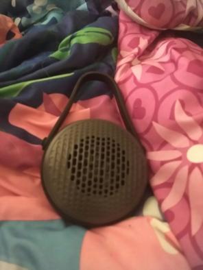 Shower speaker