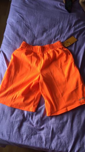 Champion Shorts