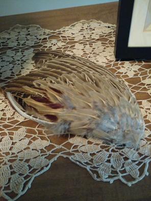 Smudging Fan