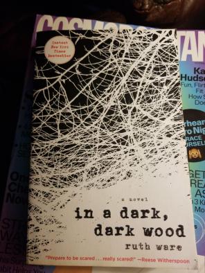 In a dark, dark wood by Ruth Ware