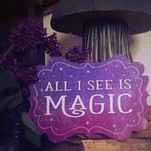 All I see is Magic magnet * LAST ONE*