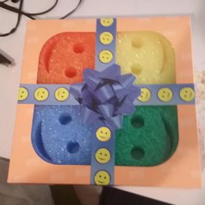 Sponge set of 4 colors