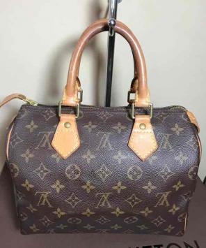 Louis Vuitton Speedy 25