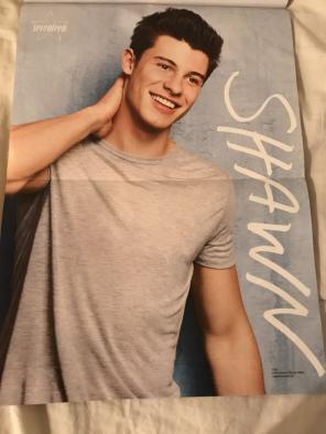 Shawn Mendes Poster