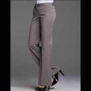 NWOT Express studio Editor Slacks 2L