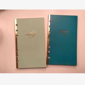 Budget and Fitness Planners/Journals