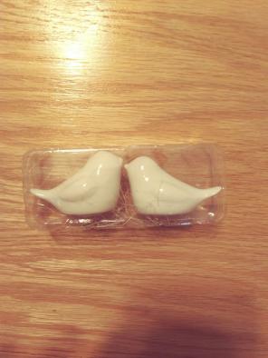 Adorable little birds salt and paper