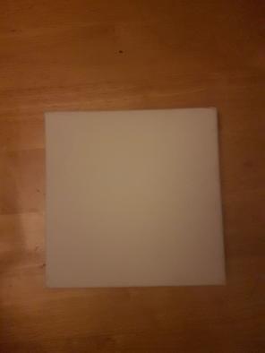 6×6 Blick Studio 1 canvas