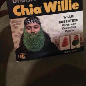 Chia willie pet