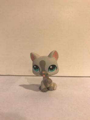 Littlest Pet Shop Cat