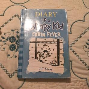 Diary Of A Wimpy Kid Cabin Fever!!