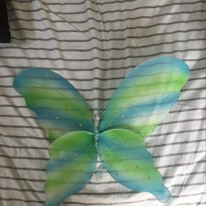 Blue and Green Decorative Butterfly