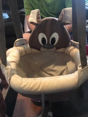 Johnny Jumper (kangaroo)