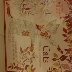 CAT COLORING KIT