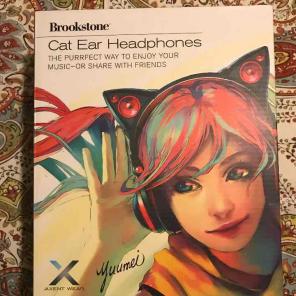 Brookstone headphones