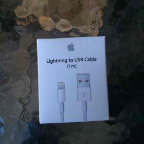 Apple charger