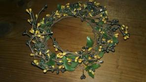 Primitive berry vine