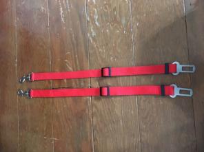ONE red dog seat belt