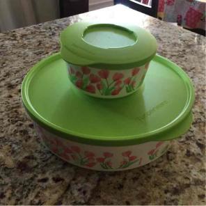 New Tupperware tulip container