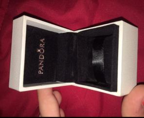 Pandora Charm Box