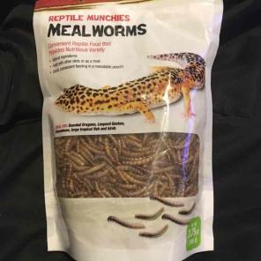 Reptile munchies mealworms small animal