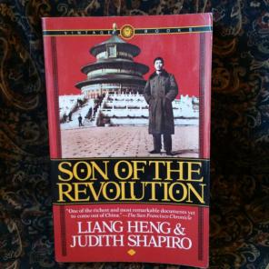 Son of the Revolution