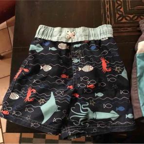 2T Boys Swim Trunks