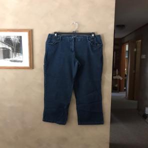 J Jill Wide Leg Stretch Denim Jeans 14