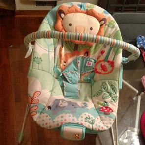 Baby Bouncer