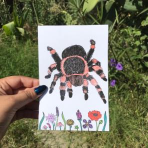 Tarantula + Wildflowers Print