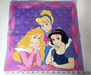 Princess Fabrics Set