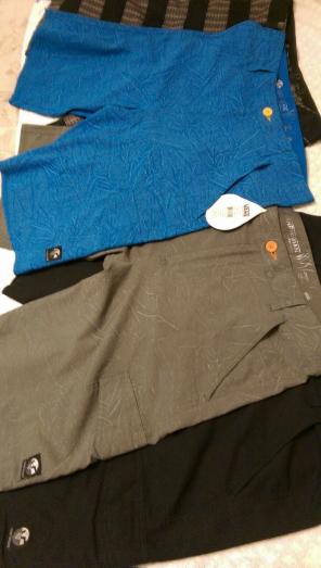Vans Vanphibian Series Shorts