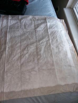 Dog training pads