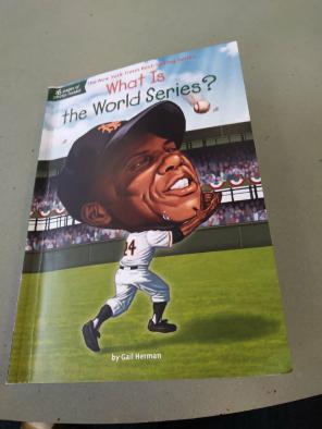 What is the world series *book*