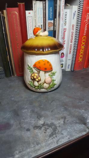 Merry Mushroom Canister