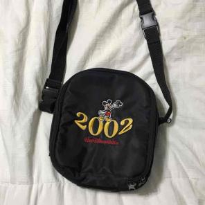 Walt Disney world 2002 fanny Pack