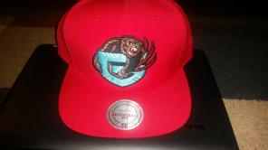 Memphis Grizzles snap back