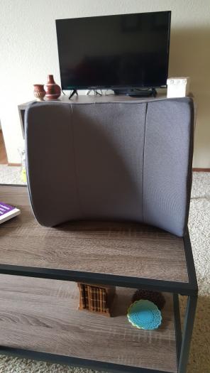 Foam lumbar cushion - office hair