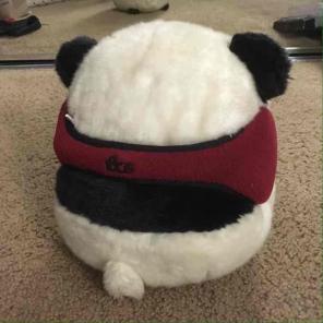 ✨FINAL✨Red Earmuffs