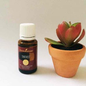 Thieves oil Young Living