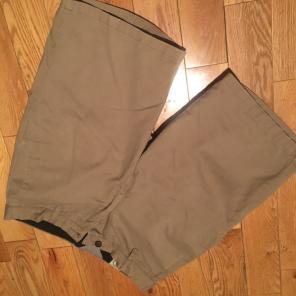 Volcom shorts