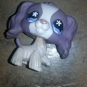 Lps dog